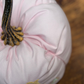 Garden District Pumpkin in Peony