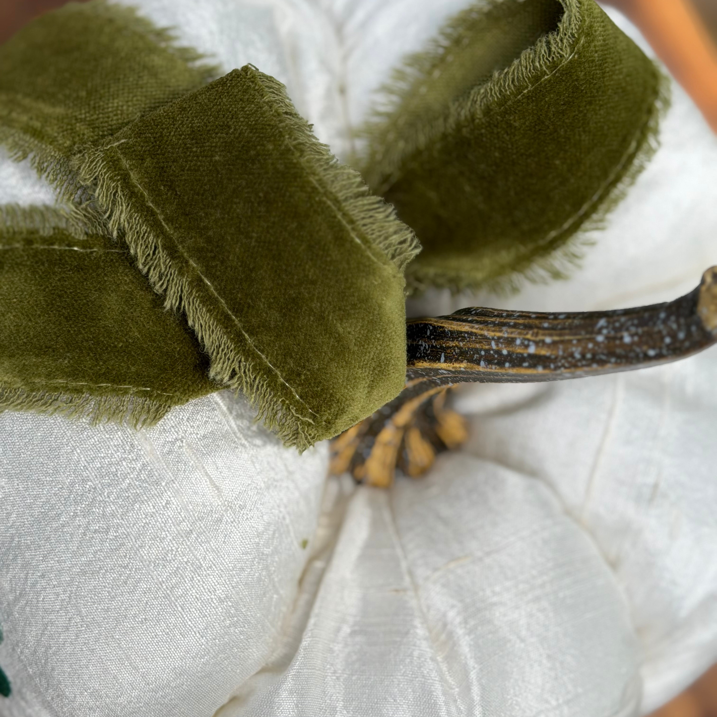 Heritage Pumpkin in Foliage