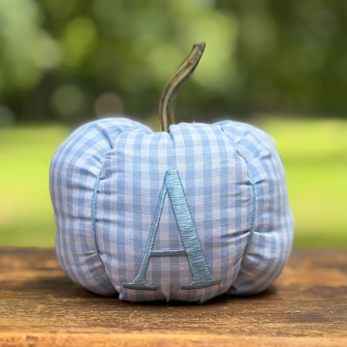 Little Lorelai Blue Gingham Pumpkin