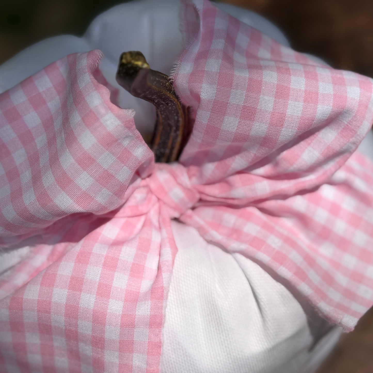 Little Lorelai Vintage Charm Pumpkin in Pink