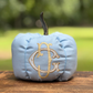 Garden District Pumpkin in Hydrangea